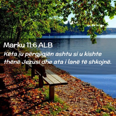 Picture 02 - Marku 11:6 ALB - Këta iu përgjigjën ashtu si u kishte thënë - Bible Verse Picture