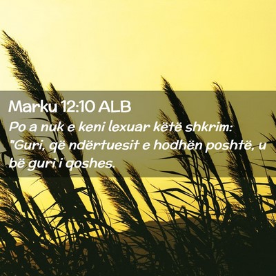 Picture 02 - Marku 12:10 ALB - Po a nuk e keni lexuar këtë shkrim: 