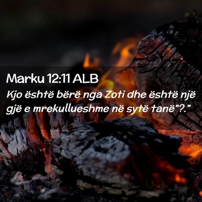 Picture 02 - Marku 12:11 ALB - Kjo është bërë nga Zoti dhe është një gjë - Bible Verse Picture