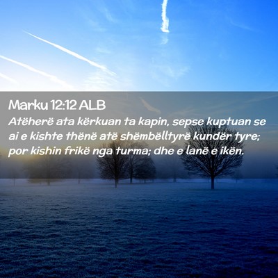 Picture 02 - Marku 12:12 ALB - Atëherë ata kërkuan ta kapin, sepse kuptuan se - Bible Verse Picture