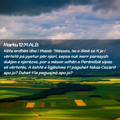 Picture 02 - Marku 12:14 ALB - Këta erdhën dhe i thanë: “Mësues, ne e - Bible Verse Picture