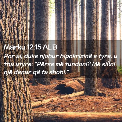 Picture 02 - Marku 12:15 ALB - Por ai, duke njohur hipokrizinë e tyre, u tha - Bible Verse Picture