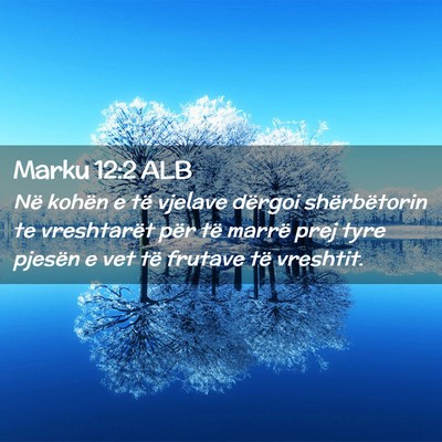 Picture 02 - Marku 12:2 ALB - Në kohën e të vjelave dërgoi shërbëtorin te - Bible Verse Picture