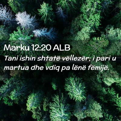 Picture 02 - Marku 12:20 ALB - Tani ishin shtatë vëllezër; i pari u martua - Bible Verse Picture