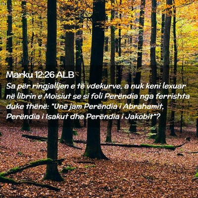 Picture 02 - Marku 12:26 ALB - Sa për ringjalljen e të vdekurve, a nuk keni - Bible Verse Picture