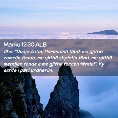 Picture 02 - Marku 12:30 ALB - dhe: 