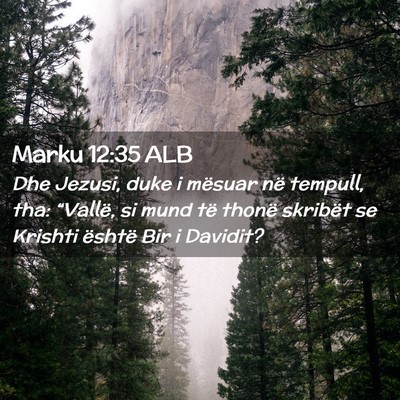 Picture 02 - Marku 12:35 ALB - Dhe Jezusi, duke i mësuar në tempull, tha: - Bible Verse Picture