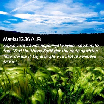 Picture 02 - Marku 12:36 ALB - Sepse vetë Davidi, nëpërmjet Frymës së - Bible Verse Picture