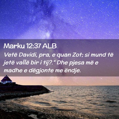 Picture 02 - Marku 12:37 ALB - Vetë Davidi, pra, e quan Zot; si mund të jetë - Bible Verse Picture