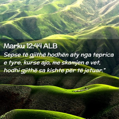 Picture 02 - Marku 12:44 ALB - Sepse të gjithë hodhën aty nga teprica e tyre, - Bible Verse Picture