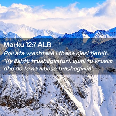 Picture 02 - Marku 12:7 ALB - Por ata vreshtarë i thanë njeri tjetrit: 