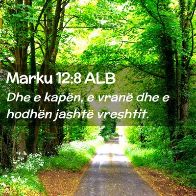 Picture 02 - Marku 12:8 ALB - Dhe e kapën, e vranë dhe e hodhën jashtë - Bible Verse Picture