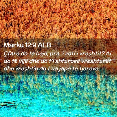 Picture 02 - Marku 12:9 ALB - Çfarë do të bëjë, pra, i zoti i vreshtit? Ai - Bible Verse Picture