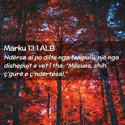Picture 02 - Marku 13:1 ALB - Ndërsa ai po dilte nga tempulli, një nga - Bible Verse Picture
