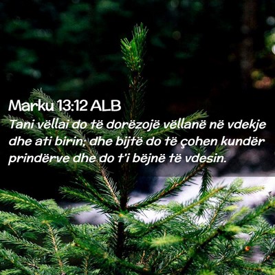 Picture 02 - Marku 13:12 ALB - Tani vëllai do të dorëzojë vëllanë në - Bible Verse Picture