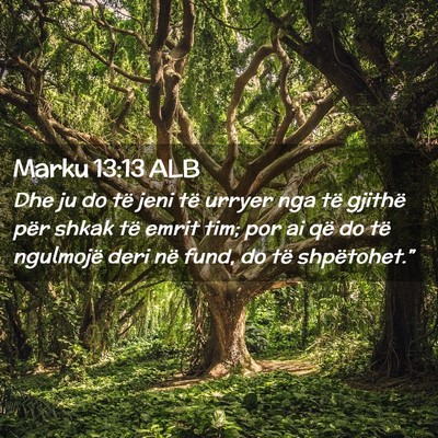 Picture 02 - Marku 13:13 ALB - Dhe ju do të jeni të urryer nga të gjithë - Bible Verse Picture