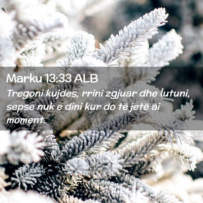 Picture 02 - Marku 13:33 ALB - Tregoni kujdes, rrini zgjuar dhe lutuni, sepse - Bible Verse Picture