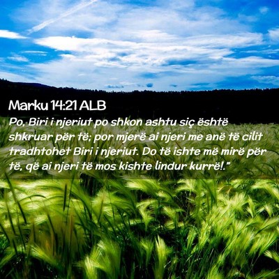 Picture 02 - Marku 14:21 ALB - Po, Biri i njeriut po shkon ashtu siç është - Bible Verse Picture