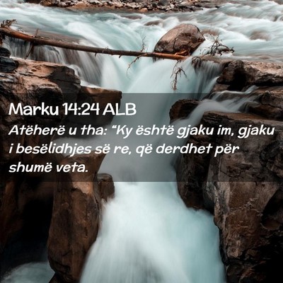 Picture 02 - Marku 14:24 ALB - Atëherë u tha: “Ky është gjaku im, gjaku i - Bible Verse Picture