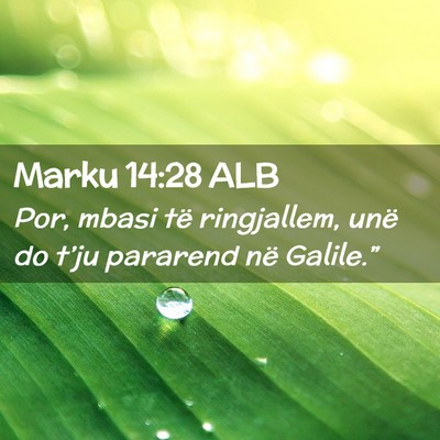 Picture 02 - Marku 14:28 ALB - Por, mbasi të ringjallem, unë do t’ju - Bible Verse Picture
