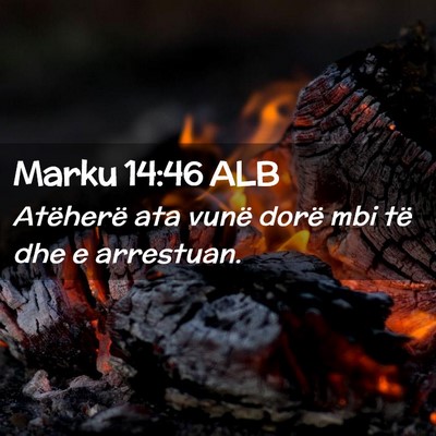 Picture 02 - Marku 14:46 ALB - Atëherë ata vunë dorë mbi të dhe e - Bible Verse Picture