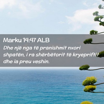 Picture 02 - Marku 14:47 ALB - Dhe një nga të pranishmit nxori shpatën, i ra - Bible Verse Picture