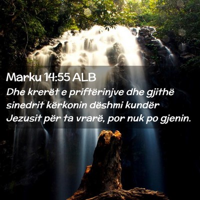 Picture 02 - Marku 14:55 ALB - Dhe krerët e priftërinjve dhe gjithë sinedrit - Bible Verse Picture