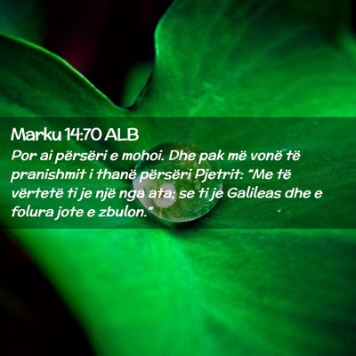 Picture 02 - Marku 14:70 ALB - Por ai përsëri e mohoi. Dhe pak më vonë të - Bible Verse Picture