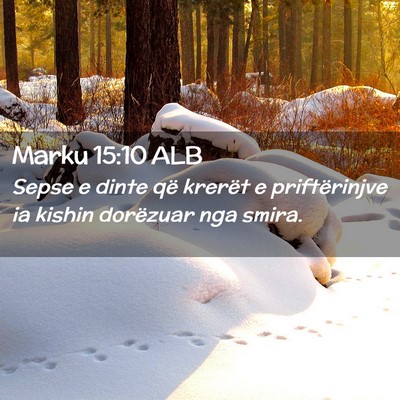 Picture 02 - Marku 15:10 ALB - Sepse e dinte që krerët e priftërinjve ia - Bible Verse Picture