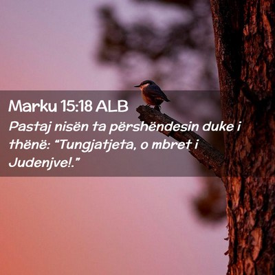 Picture 02 - Marku 15:18 ALB - Pastaj nisën ta përshëndesin duke i thënë: - Bible Verse Picture