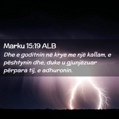 Picture 02 - Marku 15:19 ALB - Dhe e goditnin në krye me një kallam, e - Bible Verse Picture