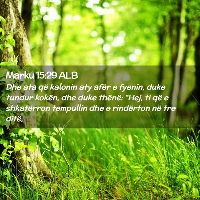 Picture 02 - Marku 15:29 ALB - Dhe ata që kalonin aty afër e fyenin, duke - Bible Verse Picture
