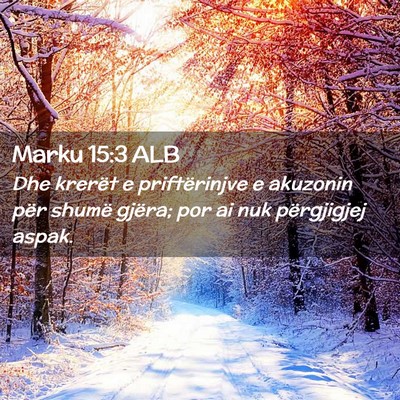 Picture 02 - Marku 15:3 ALB - Dhe krerët e priftërinjve e akuzonin për - Bible Verse Picture