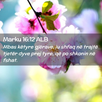 Picture 02 - Marku 16:12 ALB - Mbas këtyre gjërave, iu shfaq në trajtë - Bible Verse Picture