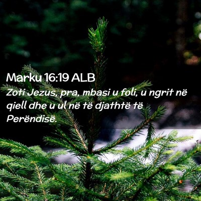 Picture 02 - Marku 16:19 ALB - Zoti Jezus, pra, mbasi u foli, u ngrit në qiell - Bible Verse Picture