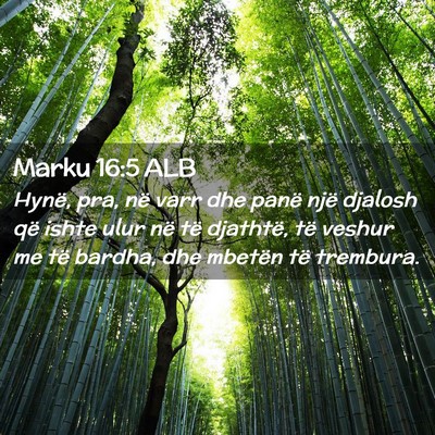 Picture 02 - Marku 16:5 ALB - Hynë, pra, në varr dhe panë një djalosh që - Bible Verse Picture