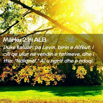 Picture 02 - Marku 2:14 ALB - Duke kaluar, pa Levin, birin e Alfeut, i cili qe - Bible Verse Picture