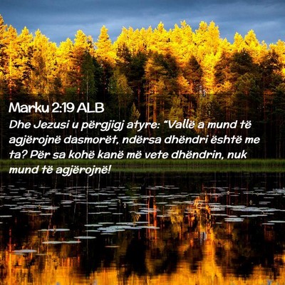 Picture 02 - Marku 2:19 ALB - Dhe Jezusi u përgjigj atyre: “Vallë a mund - Bible Verse Picture