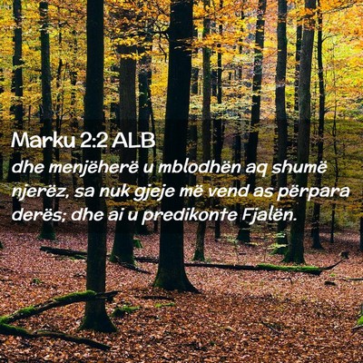 Picture 02 - Marku 2:2 ALB - dhe menjëherë u mblodhën aq shumë njerëz, sa - Bible Verse Picture
