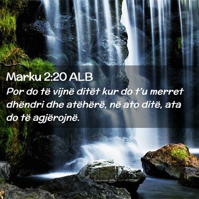 Picture 02 - Marku 2:20 ALB - Por do të vijnë ditët kur do t’u merret - Bible Verse Picture