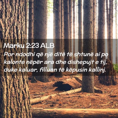 Picture 02 - Marku 2:23 ALB - Por ndodhi që një ditë të shtunë ai po - Bible Verse Picture