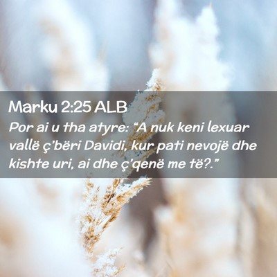 Picture 02 - Marku 2:25 ALB - Por ai u tha atyre: “A nuk keni lexuar vallë - Bible Verse Picture