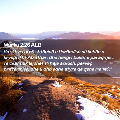 Picture 02 - Marku 2:26 ALB - Se si hyri ai në shtëpinë e Perëndisë në - Bible Verse Picture