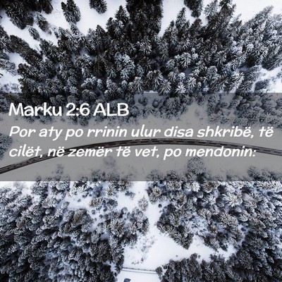 Picture 02 - Marku 2:6 ALB - Por aty po rrinin ulur disa shkribë, të cilët, - Bible Verse Picture