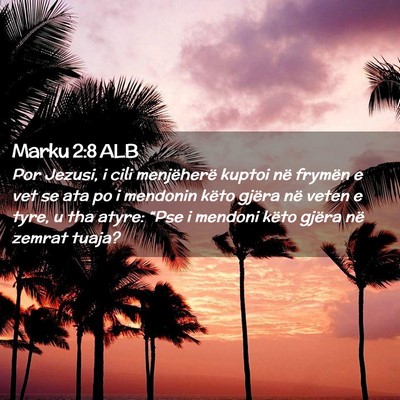 Picture 02 - Marku 2:8 ALB - Por Jezusi, i cili menjëherë kuptoi në frymën - Bible Verse Picture