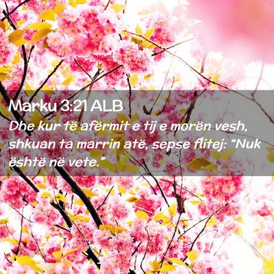 Picture 02 - Marku 3:21 ALB - Dhe kur të afërmit e tij e morën vesh, shkuan - Bible Verse Picture