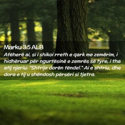 Picture 02 - Marku 3:5 ALB - Atëherë ai, si i shikoi rreth e qark me - Bible Verse Picture