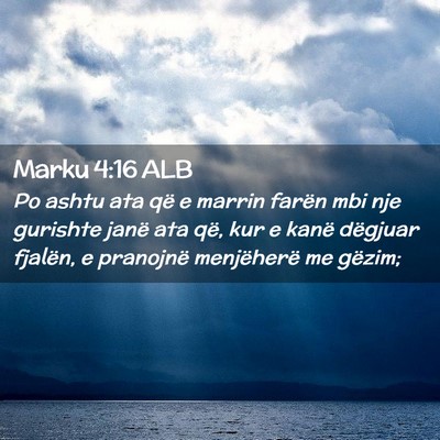 Picture 02 - Marku 4:16 ALB - Po ashtu ata që e marrin farën mbi nje gurishte - Bible Verse Picture