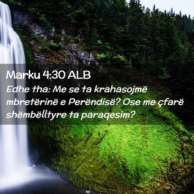 Picture 02 - Marku 4:30 ALB - Edhe tha: Me se ta krahasojmë mbretërinë e - Bible Verse Picture
