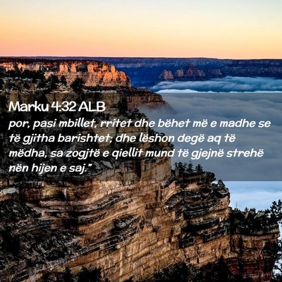 Picture 02 - Marku 4:32 ALB - por, pasi mbillet, rritet dhe bëhet më e madhe - Bible Verse Picture